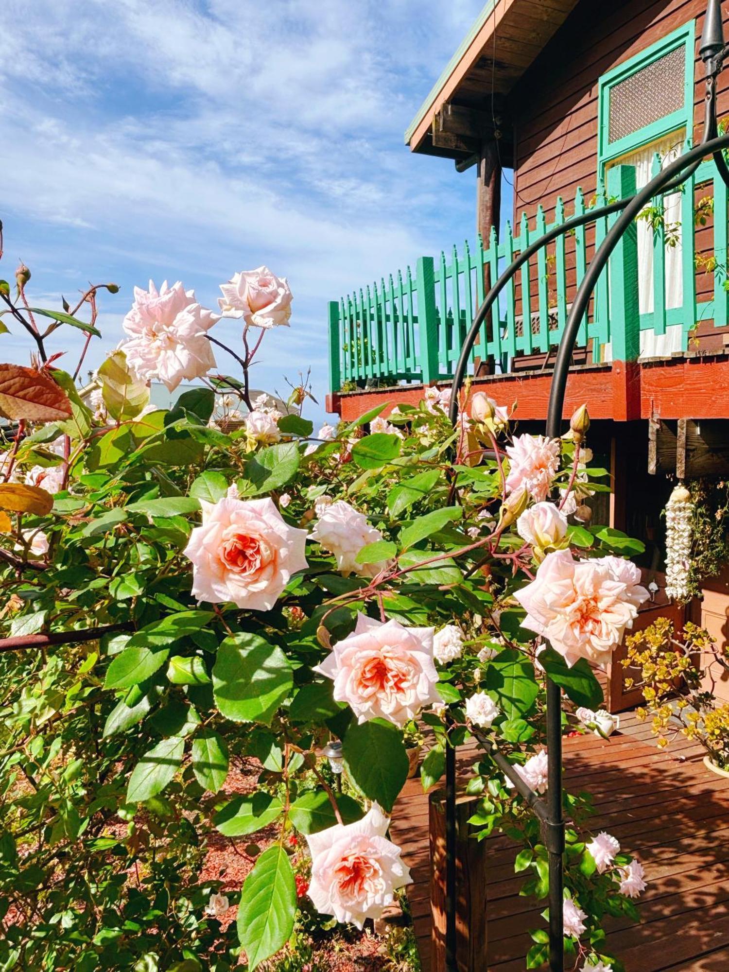 The Goat And Goose Bed & Breakfast Lakes Entrance Esterno foto